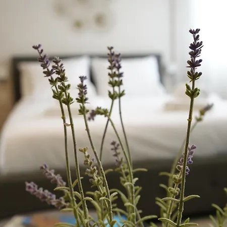 Aetherial Dreams Apartament