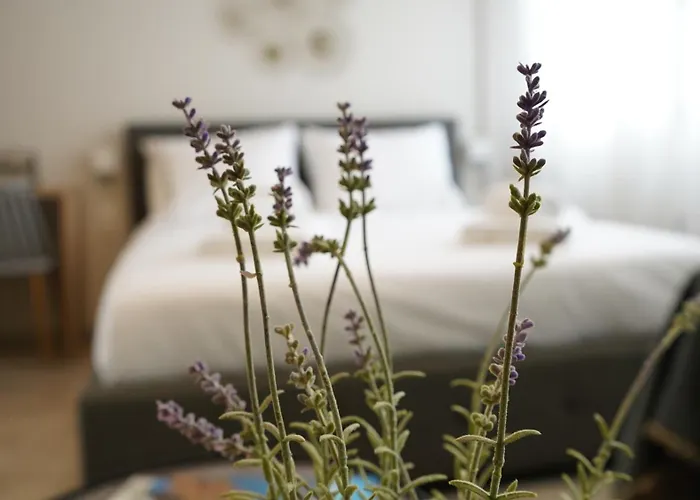 Aetherial Dreams Apartment